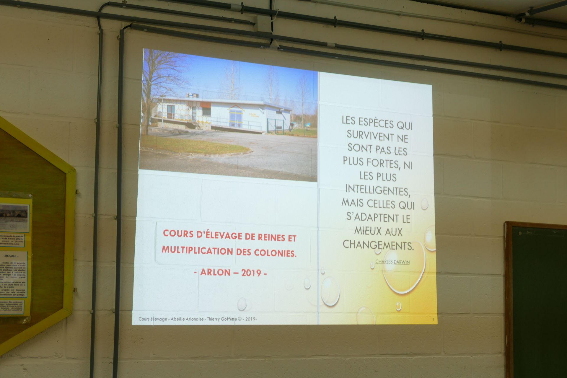 Image de diapositive