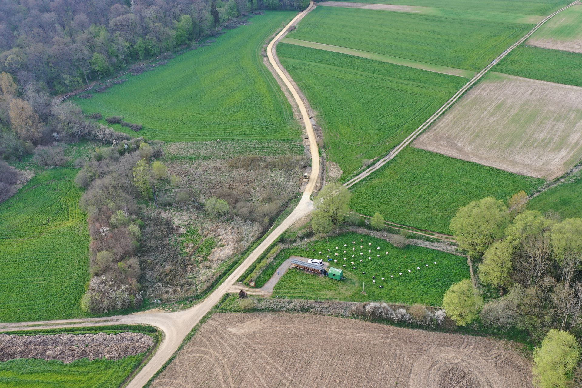 Image de diapositive